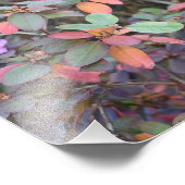 Herfst Foliage Autumn laat Natuur fotografie Foto Afdruk (Hoek)