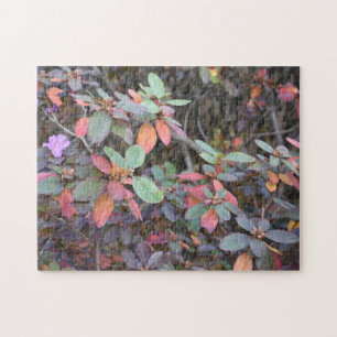 Herfst Foliage Autumn laat Natuur fotografie Legpuzzel