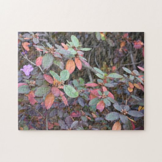 Herfst Foliage Autumn laat Natuur fotografie Legpuzzel (Horizontaal)