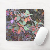 Herfst Foliage Autumn laat Natuur fotografie Muismat (Met muis)