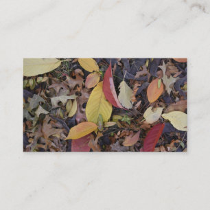 Herfst Foliage Autumn laat Natuur fotografie Visitekaartje