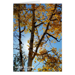 Herfst Foliage Blue Sky Arizona met achtergrondver