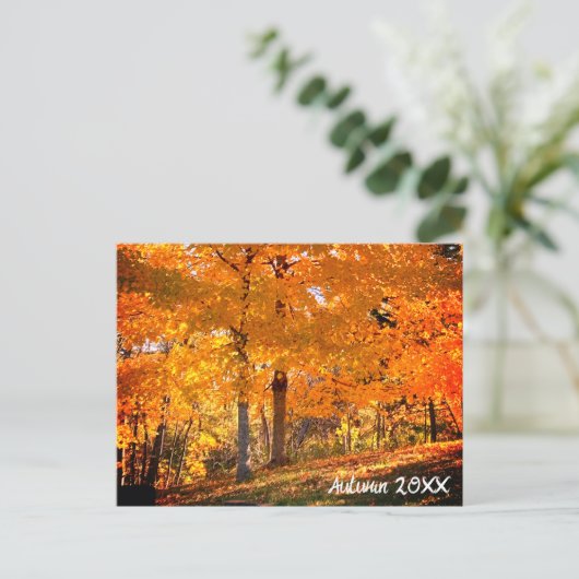 Herfst Foliage Briefkaart (Staand voorkant)