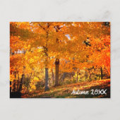 Herfst Foliage Briefkaart (Voorkant)