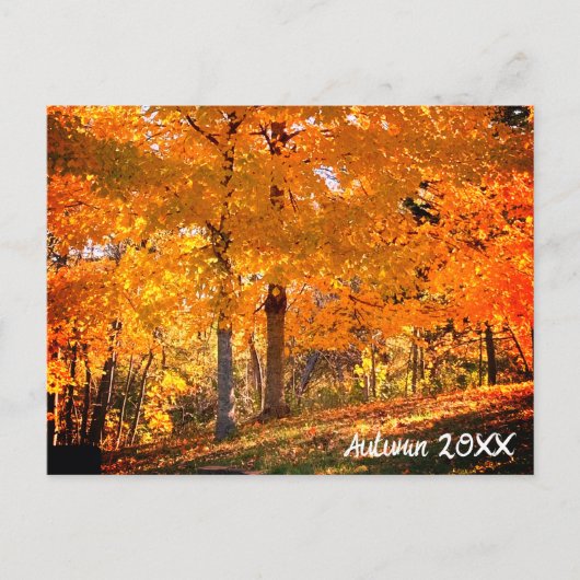 Herfst Foliage Briefkaart (Voorkant)