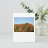 Herfst Foliage Briefkaart (Staand voorkant)