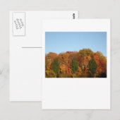 Herfst Foliage Briefkaart (Voorkant / Achterkant)