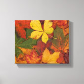 Herfst Foliage Canvas Afdruk (Voorkant)