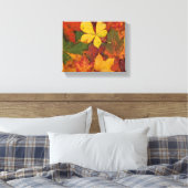 Herfst Foliage Canvas Afdruk (Insitu (Slaapkamer))