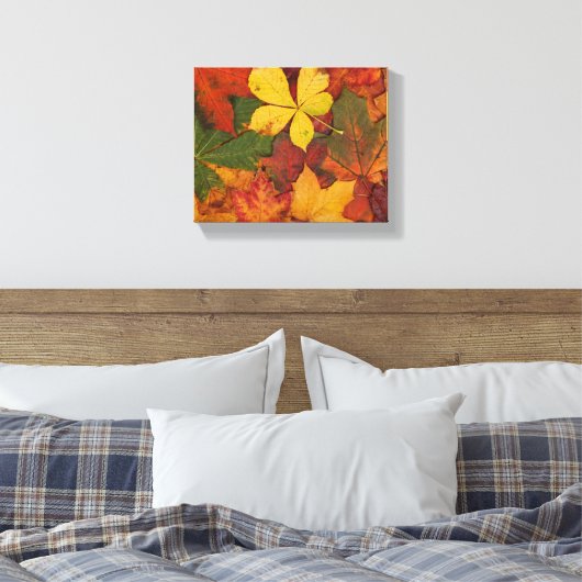 Herfst Foliage Canvas Afdruk (Insitu (Slaapkamer))