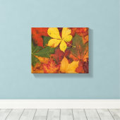 Herfst Foliage Canvas Afdruk (Insitu (Houten vloer))