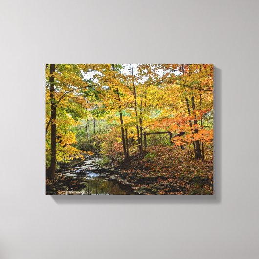 Herfst Foliage Canvas Afdruk (Voorkant)