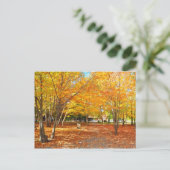 Herfst Foliage Canyon Sainte Anne Quebec Briefkaar Briefkaart (Staand voorkant)