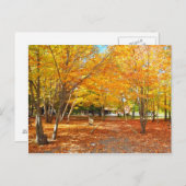 Herfst Foliage Canyon Sainte Anne Quebec Briefkaar Briefkaart (Voorkant / Achterkant)