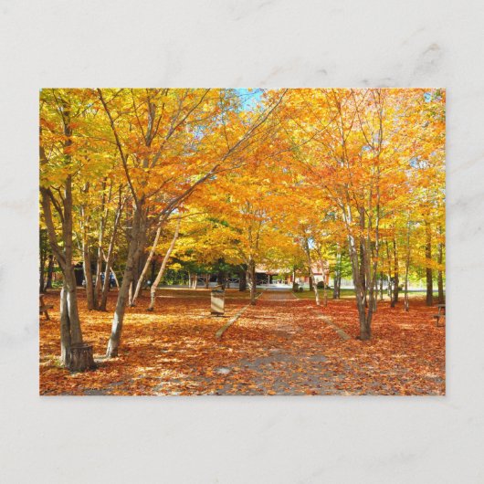 Herfst Foliage Canyon Sainte Anne Quebec Briefkaar Briefkaart (Voorkant)