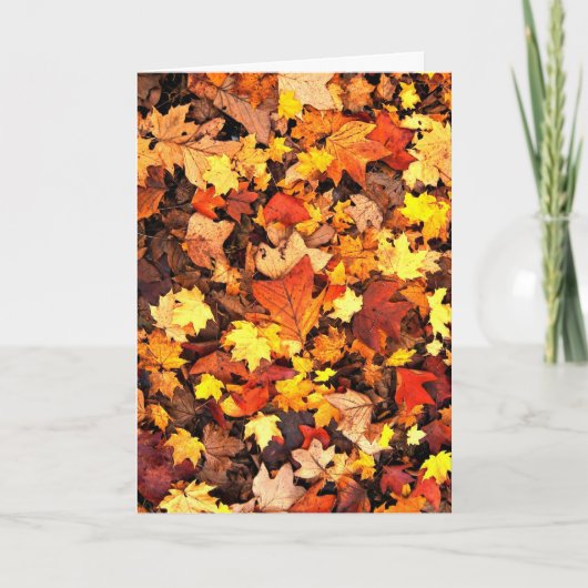 Herfst foliage, de kleuren van de najaarse Kaart (Voorkant)
