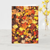 Herfst foliage, de kleuren van de najaarse Kaart (Gele Bloem)