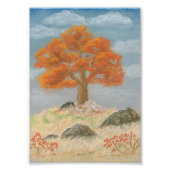 Herfst Foliage Foto Afdruk (Voorkant)