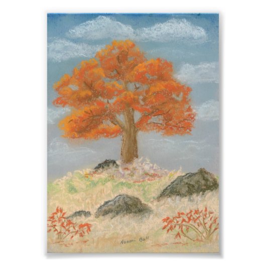 Herfst Foliage Foto Afdruk (Voorkant)