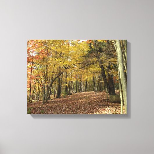 Herfst Foliage Foto Serene Herfst Bossen Canvas Afdruk (Voorkant)
