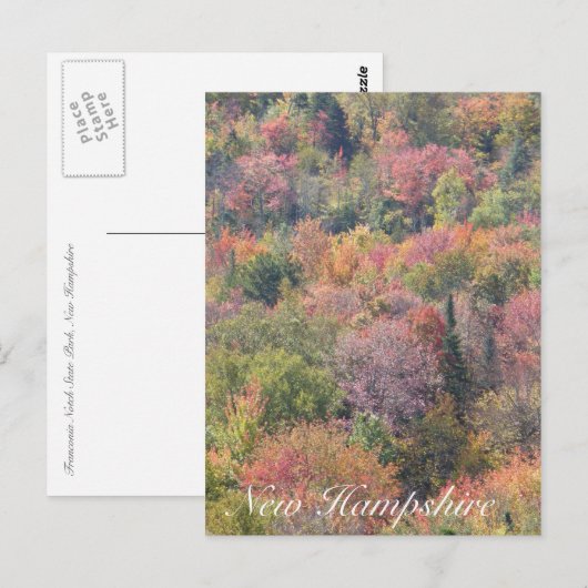 Herfst Foliage, Franconia Notch State Park, NH Briefkaart (Voorkant / Achterkant)