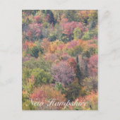 Herfst Foliage, Franconia Notch State Park, NH Briefkaart (Voorkant)