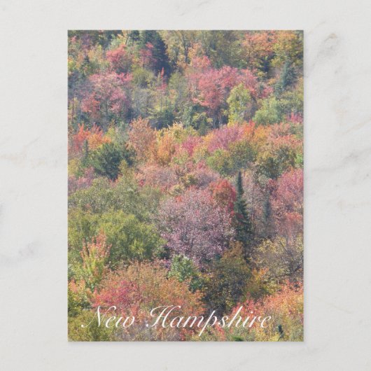 Herfst Foliage, Franconia Notch State Park, NH Briefkaart (Voorkant)