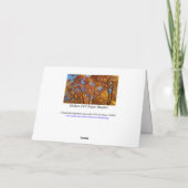 Herfst Foliage / goudgeel / Happy Herfst Y'all Kaart (Achterkant)