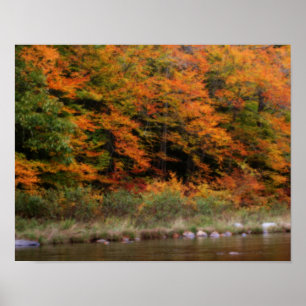 Herfst Foliage-grensrivier Orton Poster