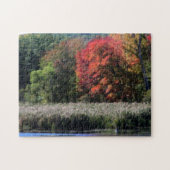 Herfst Foliage grenzend aan een Marsh Orton-effect Legpuzzel (Horizontaal)