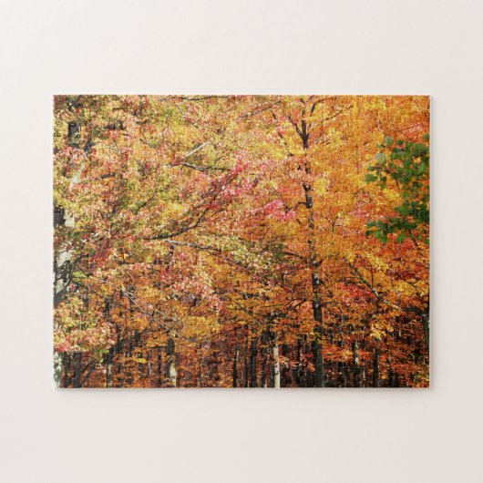 Herfst Foliage in New England Legpuzzel (Horizontaal)