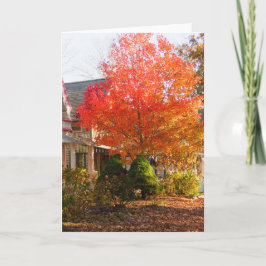 Herfst Foliage in Oak Bluffs - Martha's wijngaard Kaart