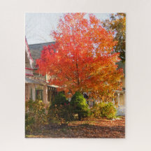 Herfst Foliage in Oak Bluffs - Martha's wijngaard