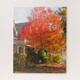 Herfst Foliage in Oak Bluffs - Martha's wijngaard Legpuzzel