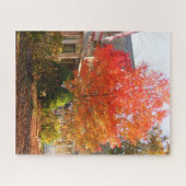 Herfst Foliage in Oak Bluffs - Martha's wijngaard Legpuzzel (Horizontaal)