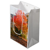 Herfst Foliage in Oak Bluffs - Martha's wijngaard Medium Cadeauzakje (Voorkant Gekanteld)