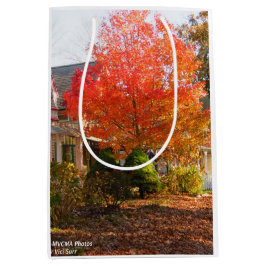 Herfst Foliage in Oak Bluffs - Martha's wijngaard Medium Cadeauzakje