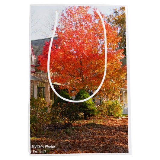 Herfst Foliage in Oak Bluffs - Martha's wijngaard Medium Cadeauzakje (Voorkant)
