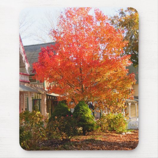 Herfst Foliage in Oak Bluffs - Martha's wijngaard Muismat (Voorkant)