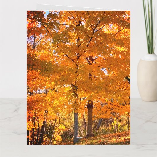 Herfst Foliage Kaart (Achterkant)