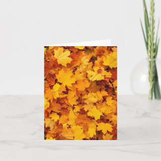 Herfst Foliage Kaart