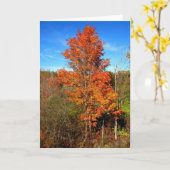 Herfst Foliage Kaart (Gele Bloem)