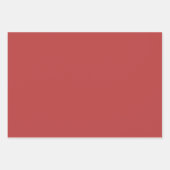 Herfst Foliage Kleuren Wrapping Papier Inpakpapier Vel (Voorkant 3)