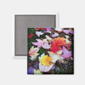 Herfst Foliage Magneet (Voorkant / Achterkant)