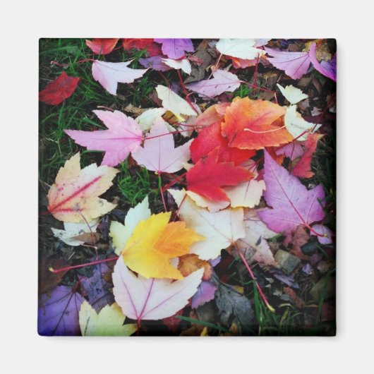 Herfst Foliage Magneet (Voorkant)