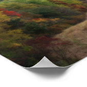 Herfst Foliage Mowed Field Orton Effect Poster (Hoek)