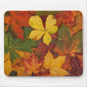 Herfst Foliage Muismat (Voorkant)