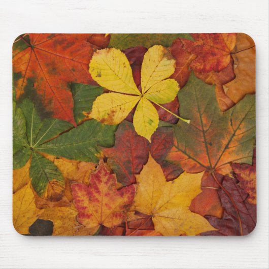 Herfst Foliage Muismat (Voorkant)