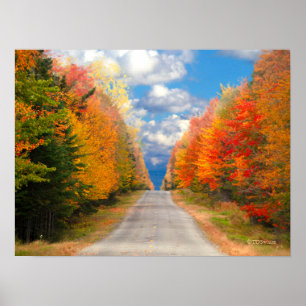 Herfst Foliage New England Poster