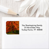 Herfst Foliage Photo Return Address Labker Etiket (Insitu)